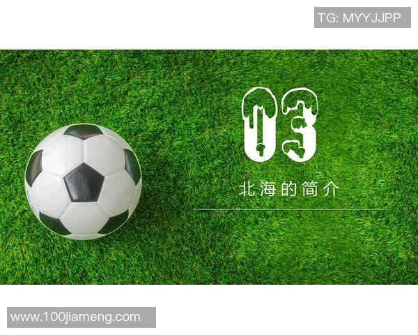 足球焦点：深圳足球队的团队协作探讨