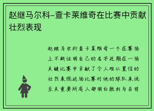 赵继马尔科-查卡莱维奇在比赛中贡献壮烈表现